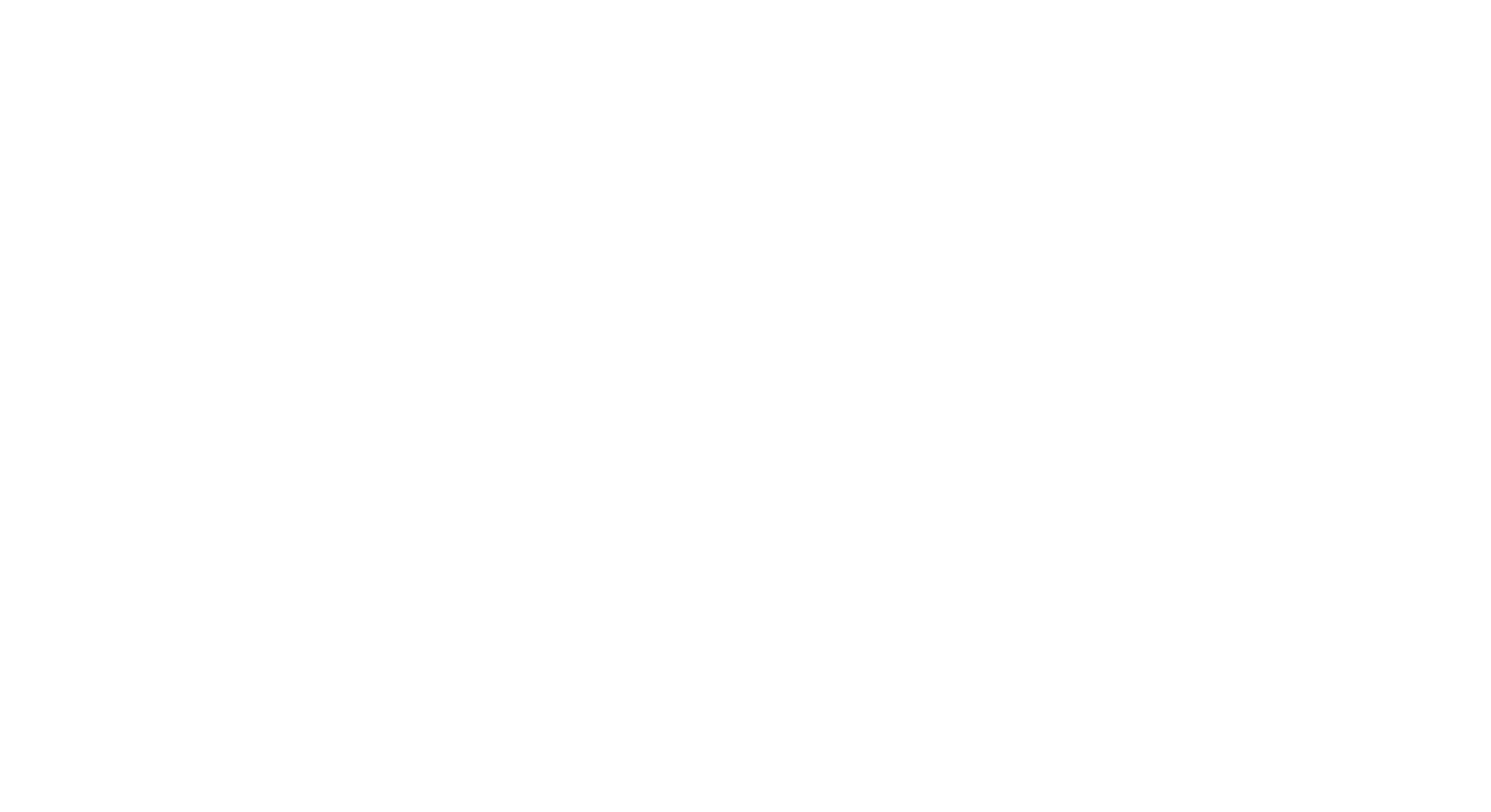 Young Founders School